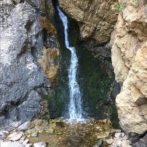 Meet your Posher, Casey